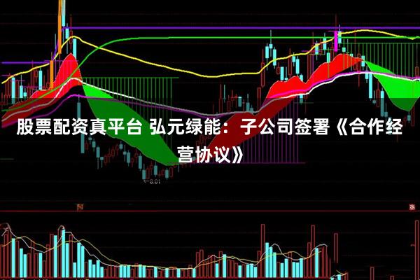 股票配资真平台 弘元绿能：子公司签署《合作经营协议》