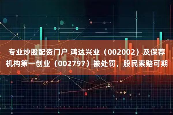 专业炒股配资门户 鸿达兴业(002002)及保荐机构第一创业(002797)被处罚,股民索赔可期